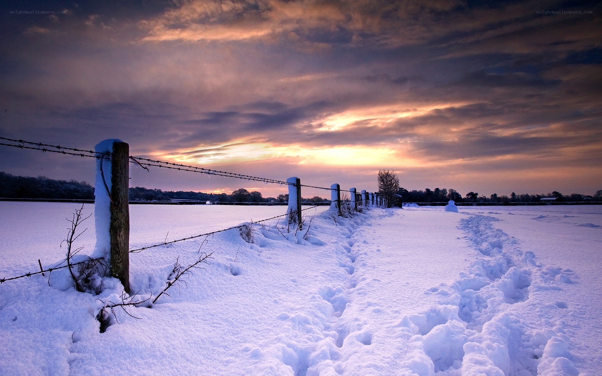 Snowy field at sunset