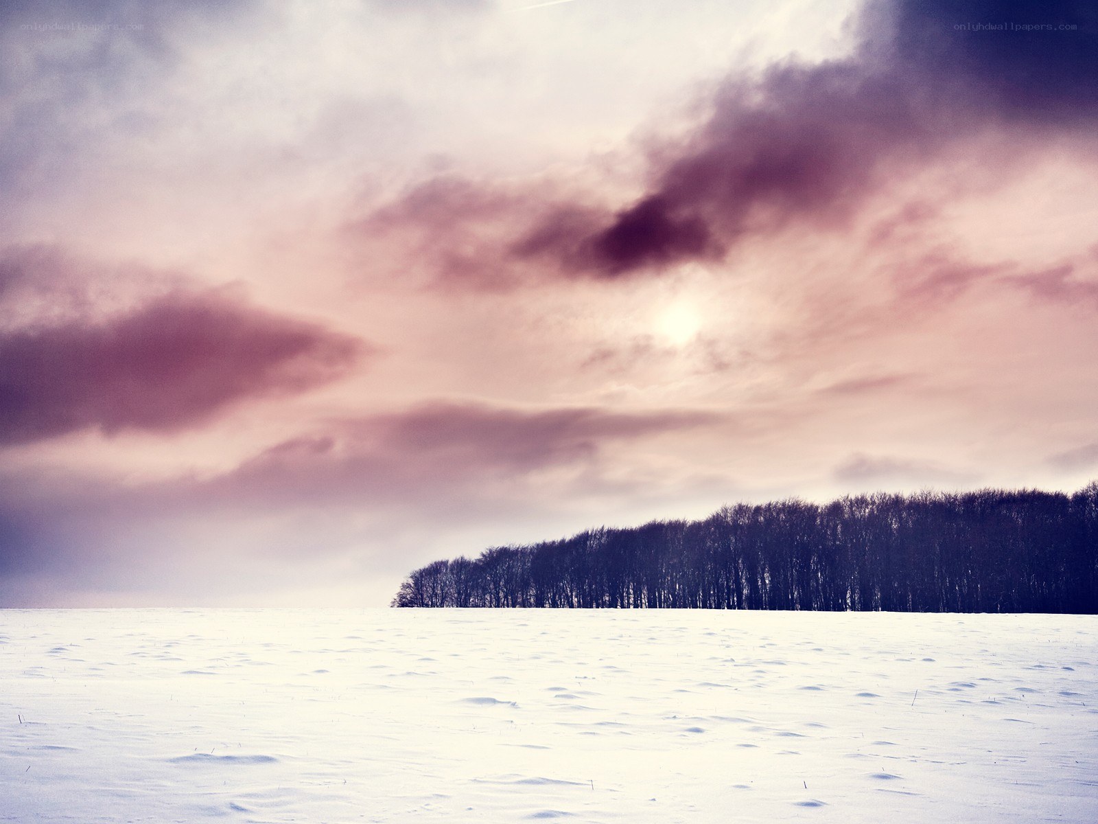 Snowy field at sunset