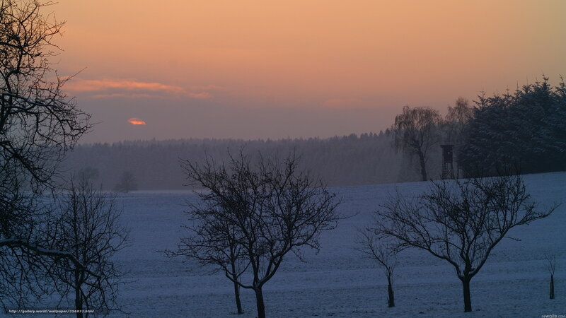 Snowy field at sunset