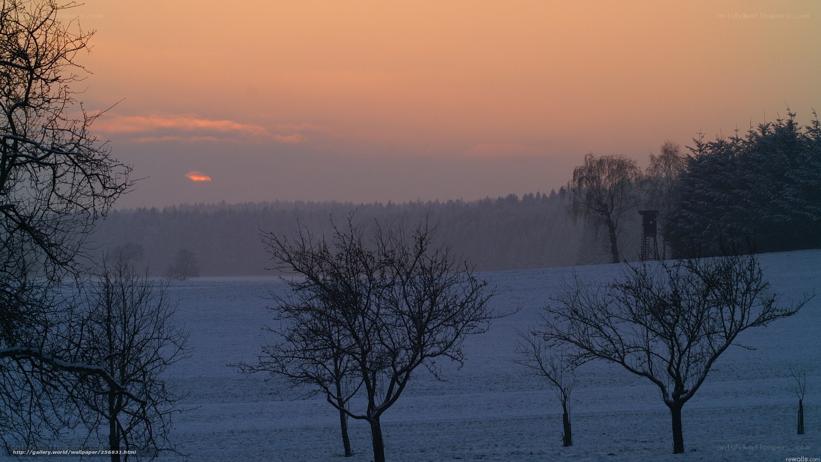 Snowy field at sunset