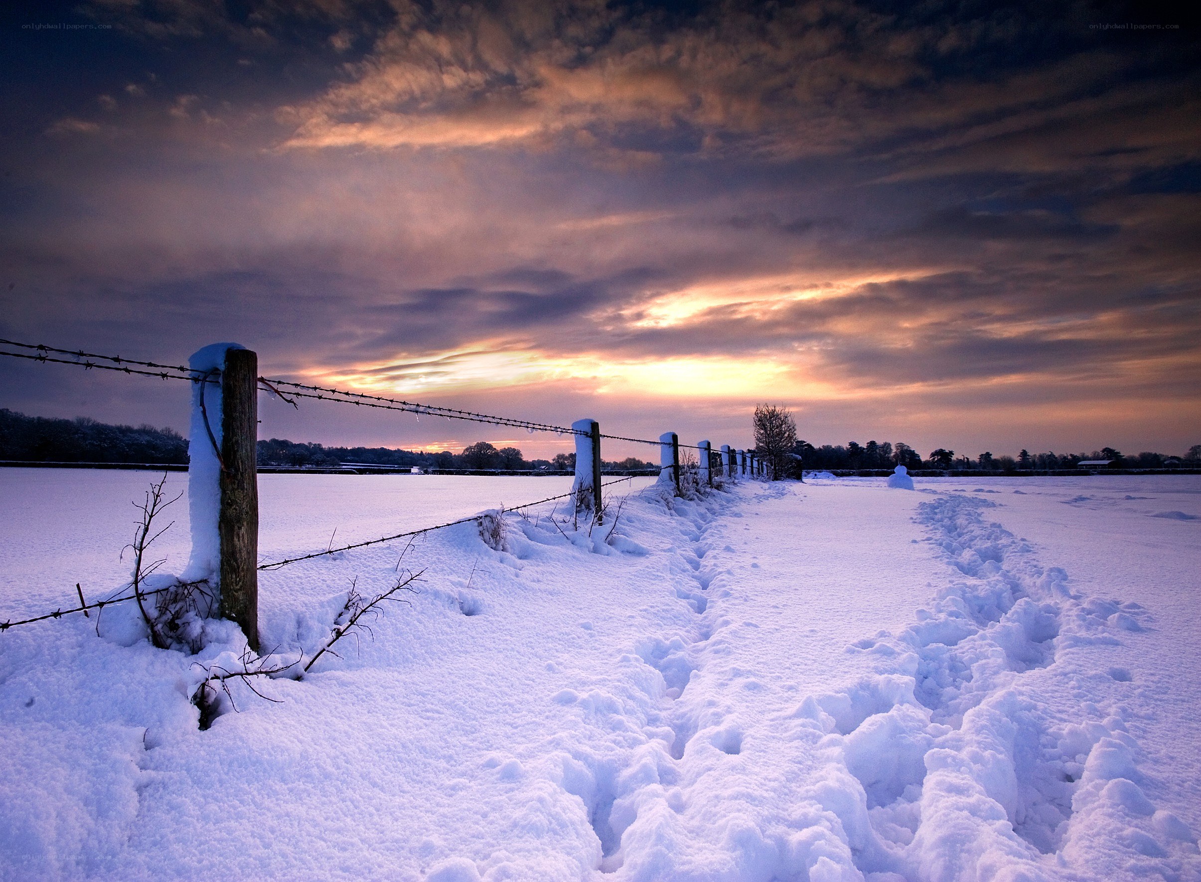 Snowy field at sunset