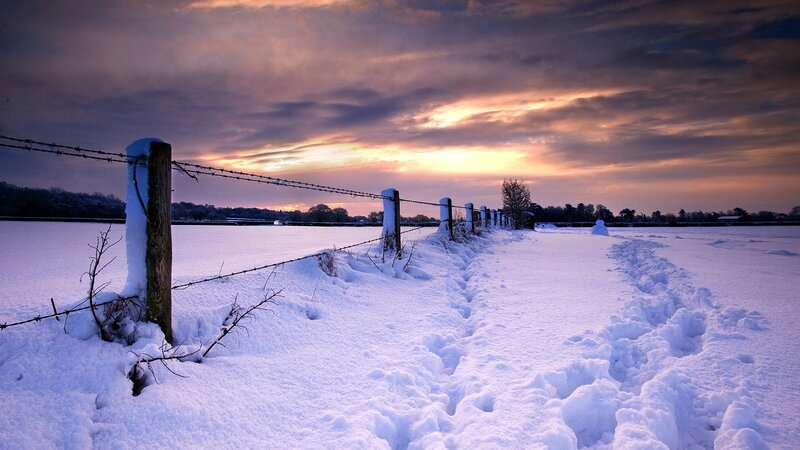 Snowy field at sunset