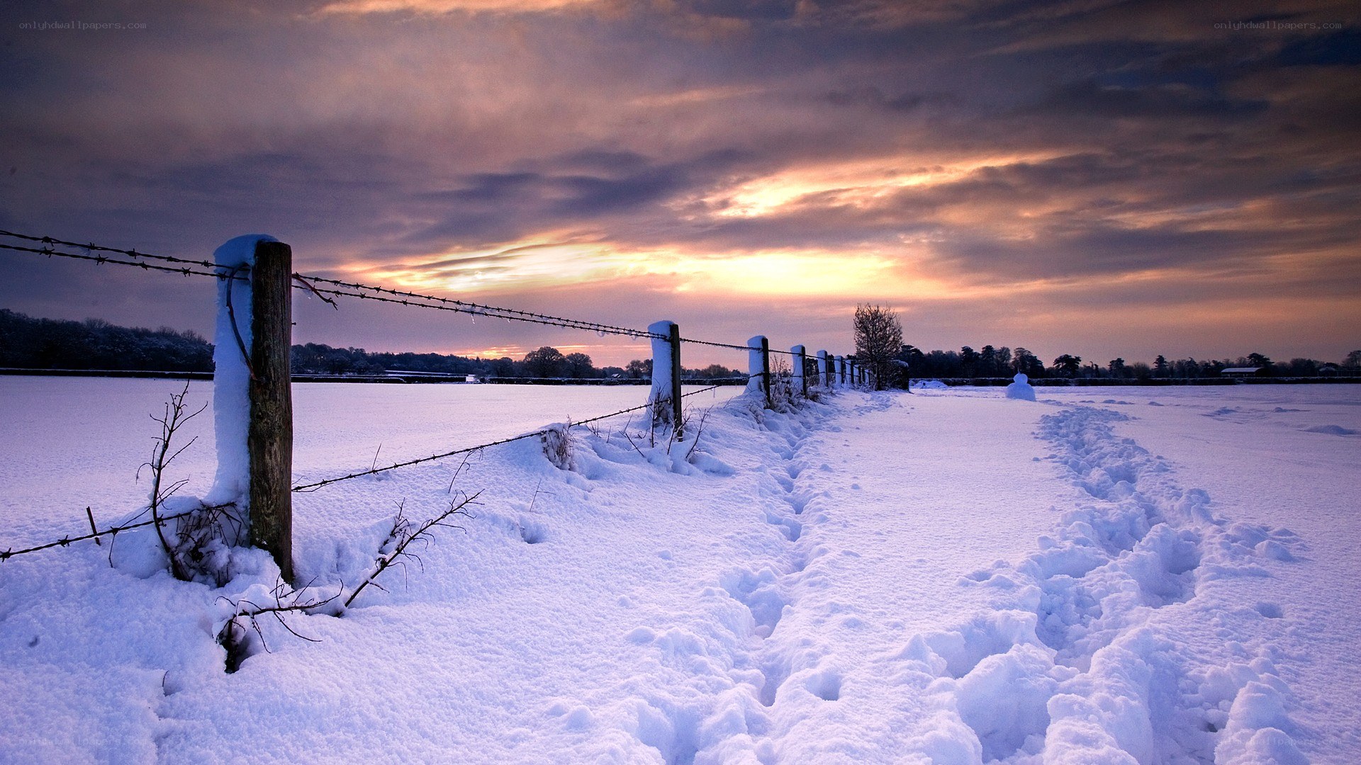 Snowy field at sunset