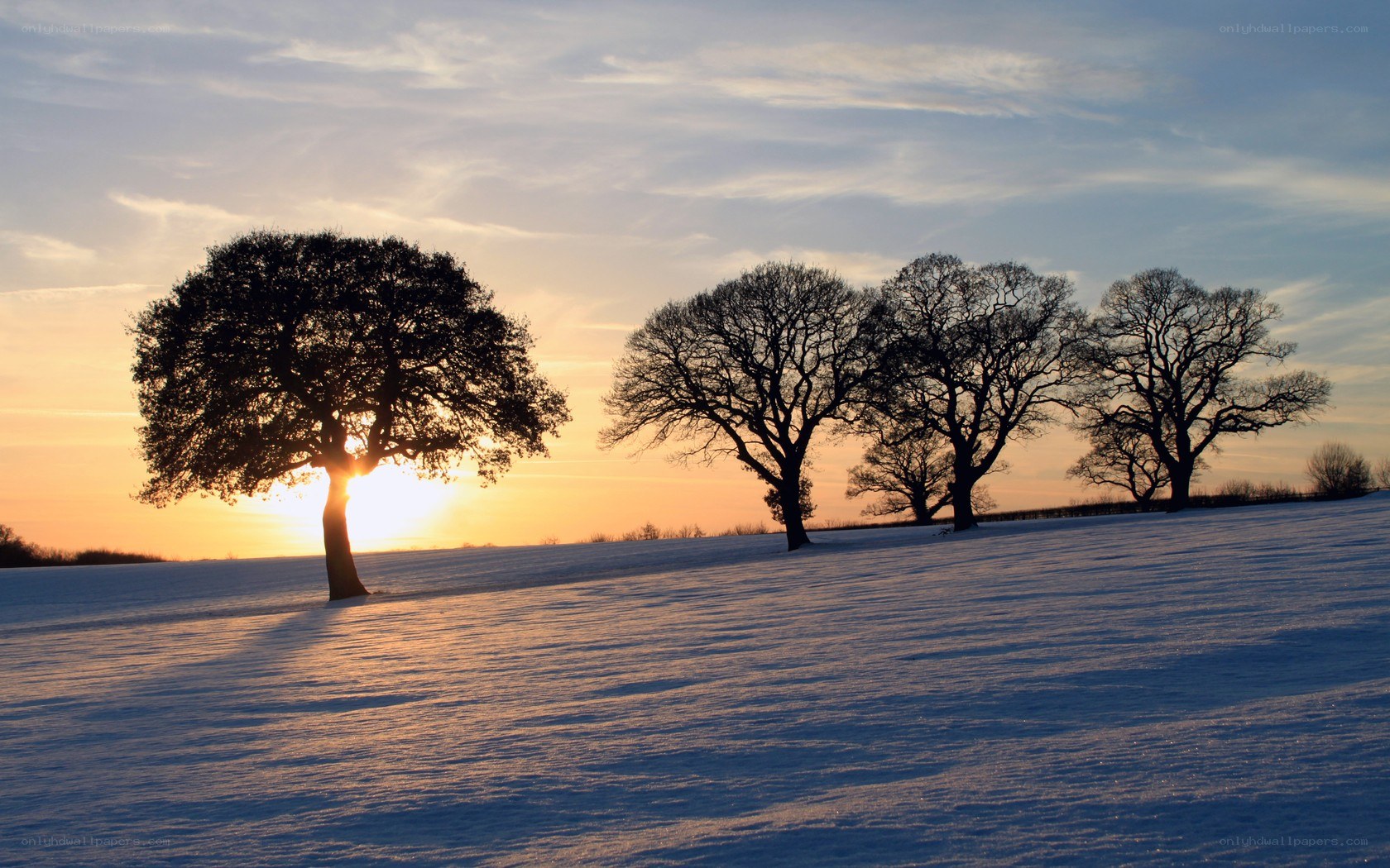 Snowy field at sunset