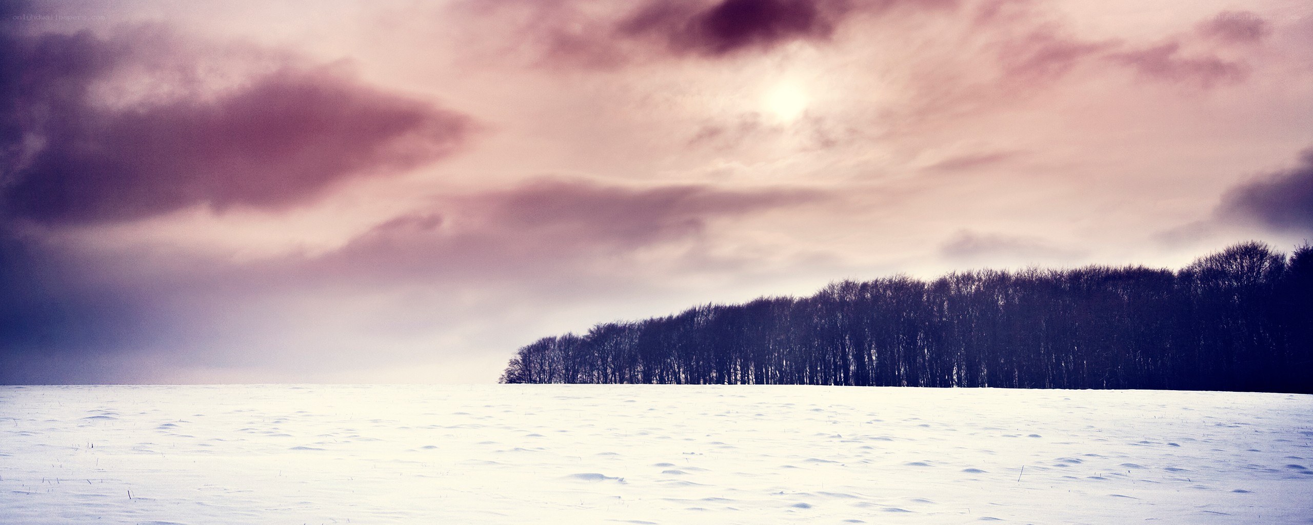 snowy field at sunset