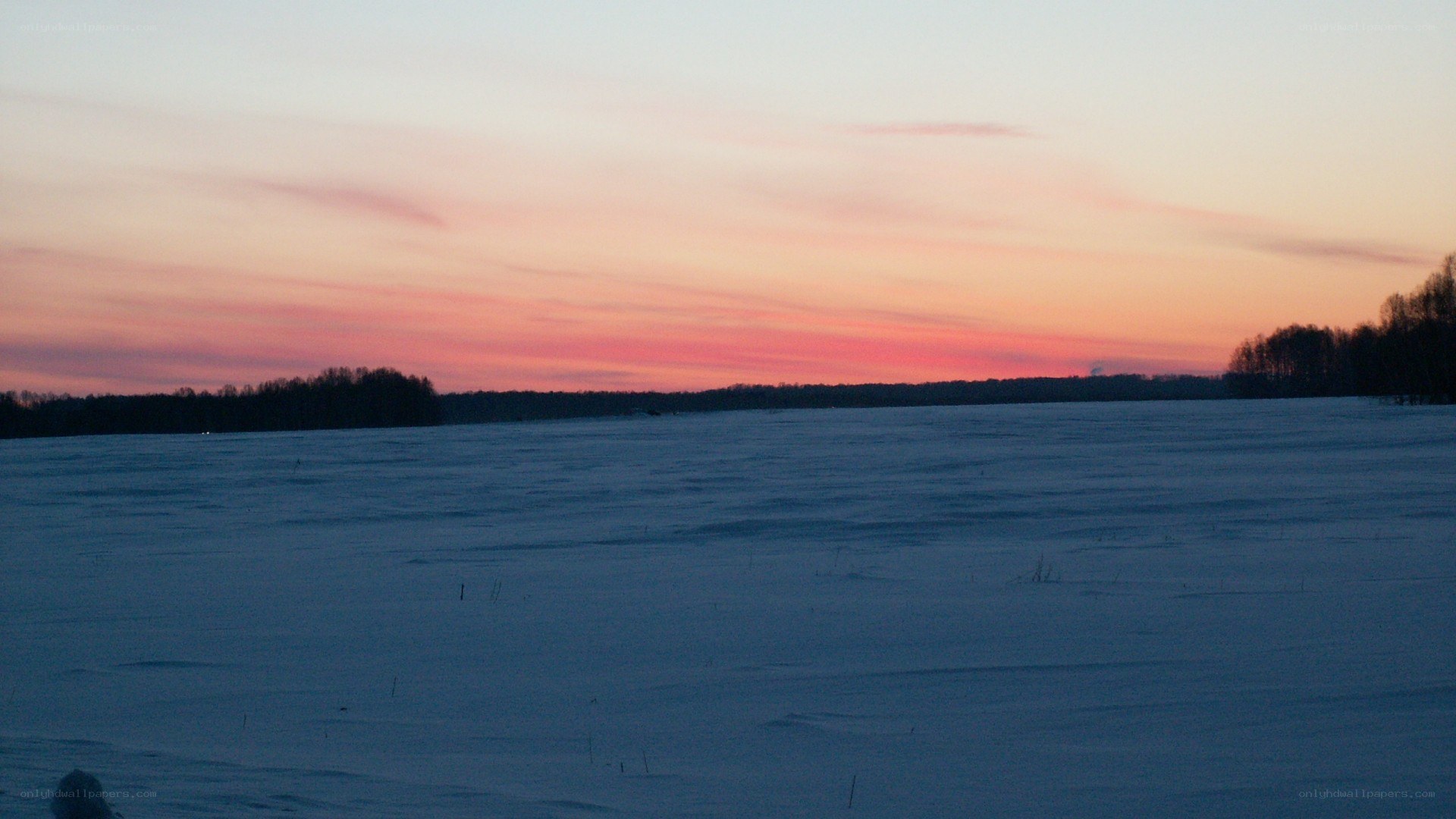 Snowy field at sunset