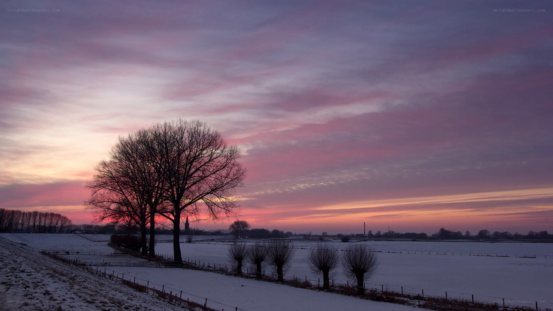 Snowy field at sunset