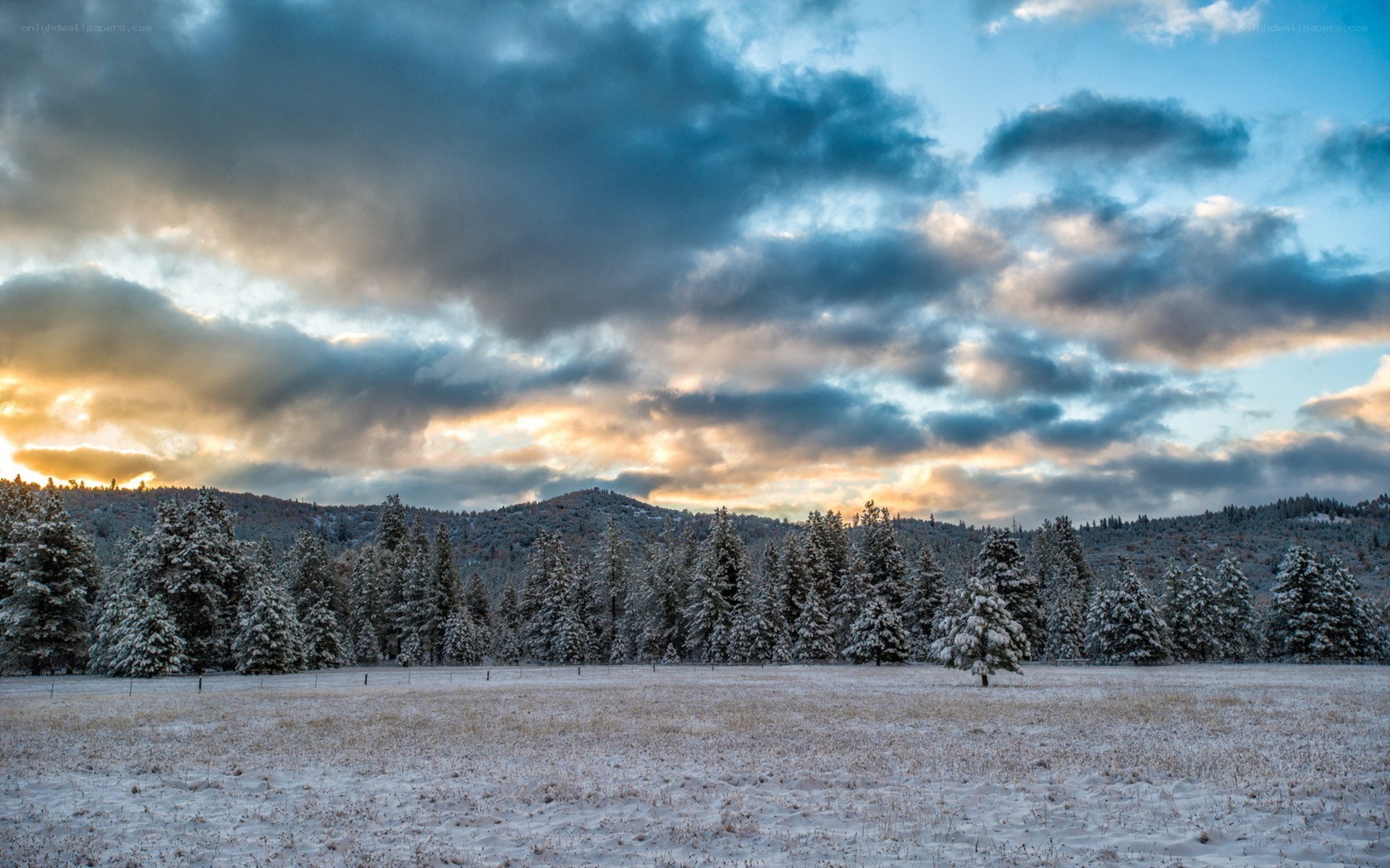 Snowy field at sunset