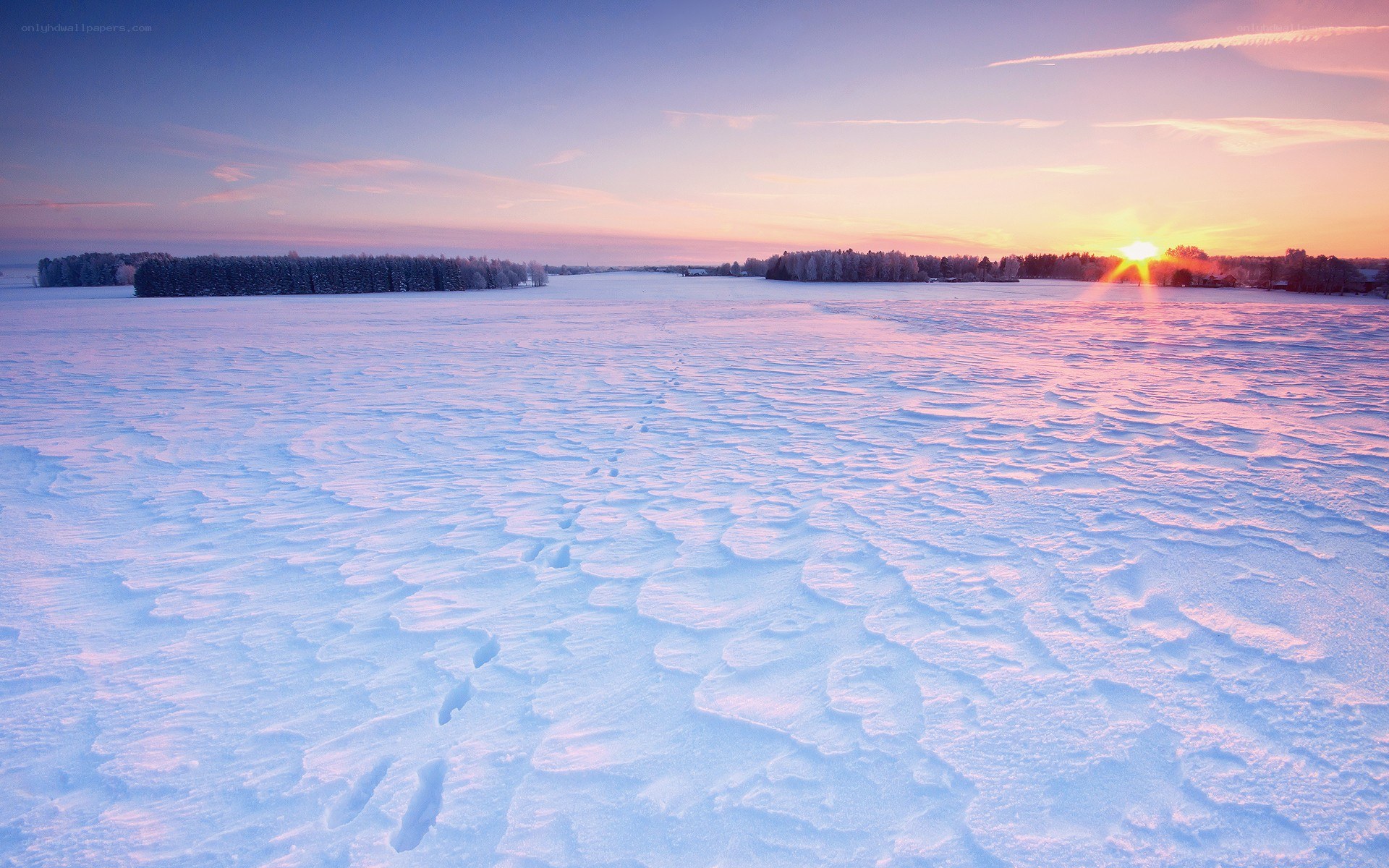 Snowy field at sunset