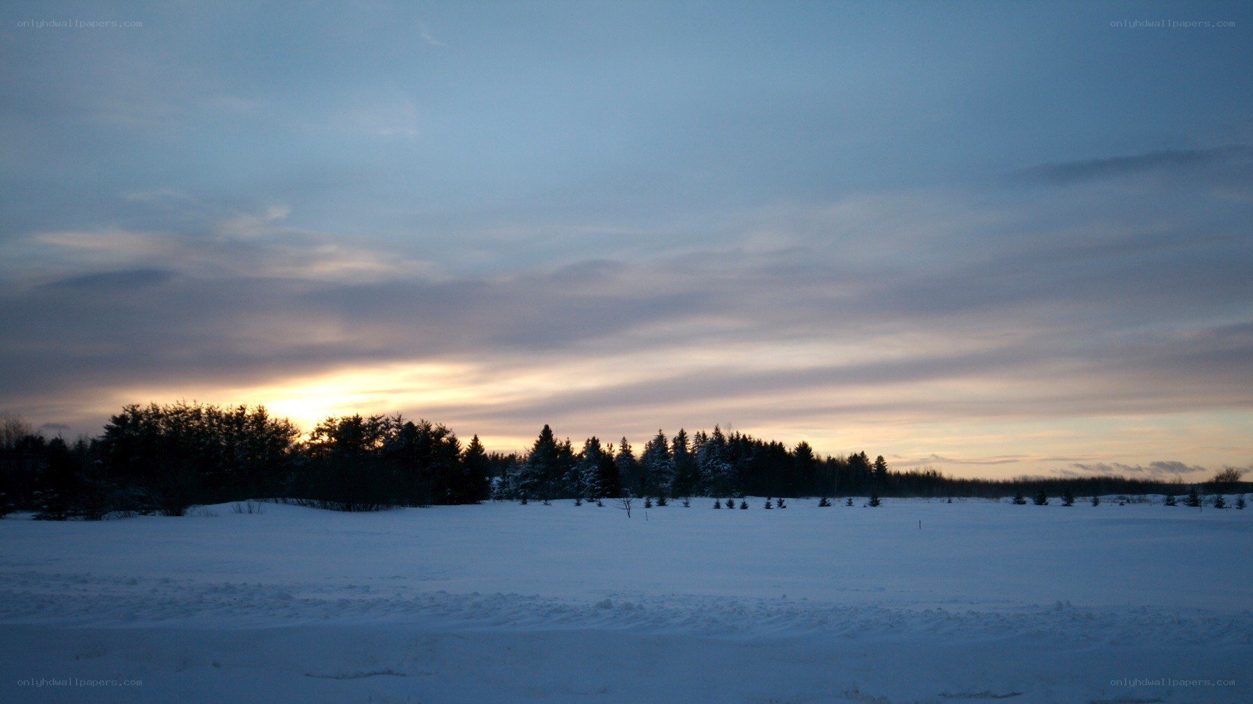 snowy field at sunset