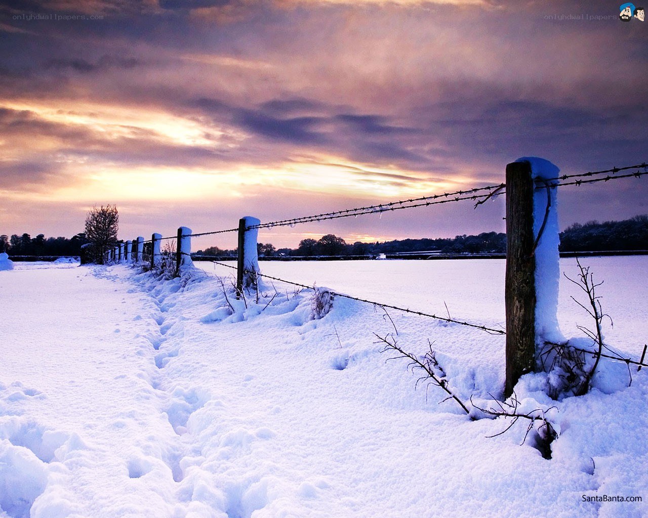 Snowy field at sunset