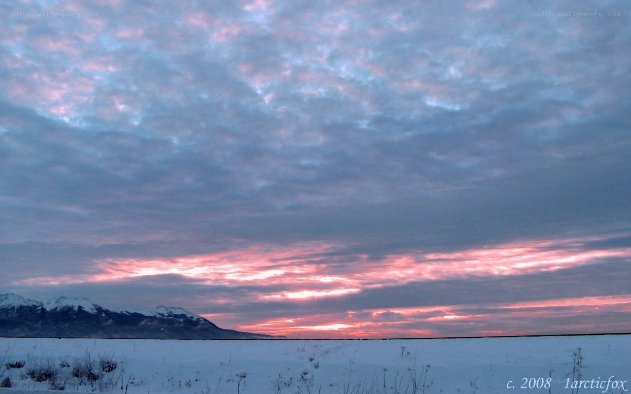 snowy field at sunset