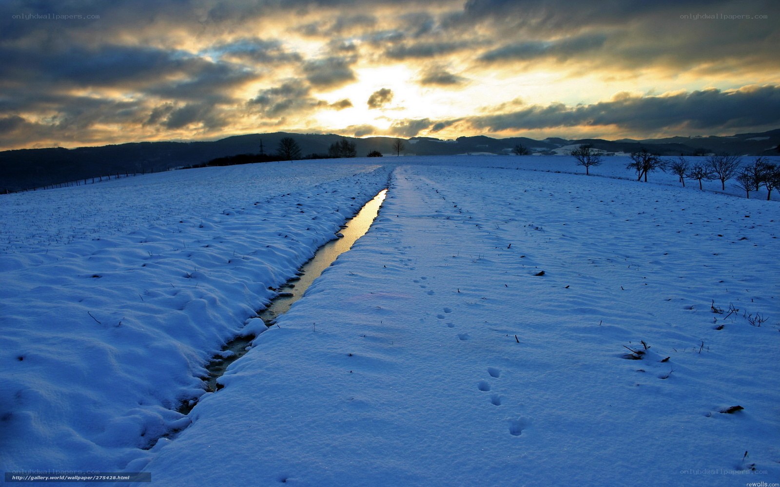 Snowy field at sunset