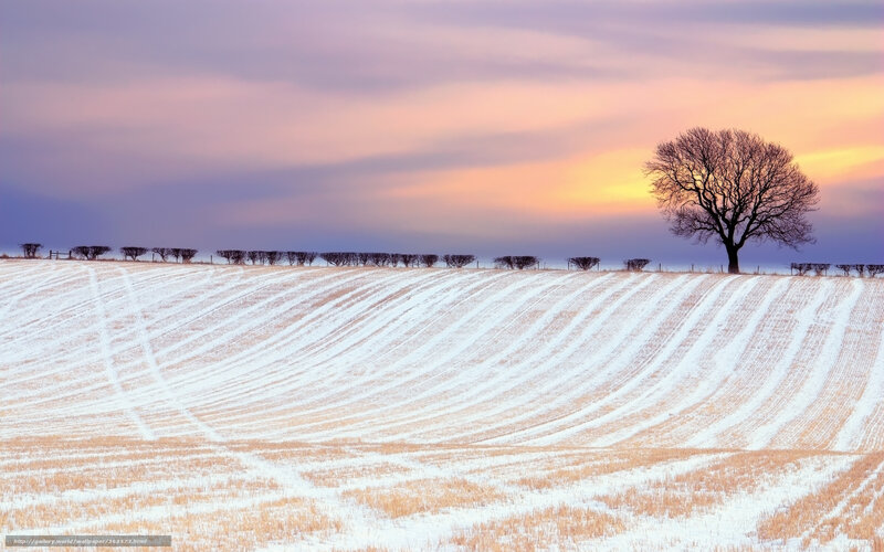 Snowy field at sunset