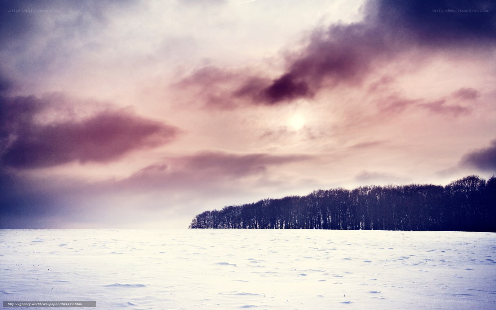 Snowy Field at Sunset