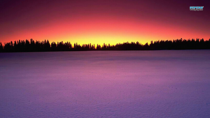 Snowy Field at Sunset — Purple, Dramatic, Photograph, Trees