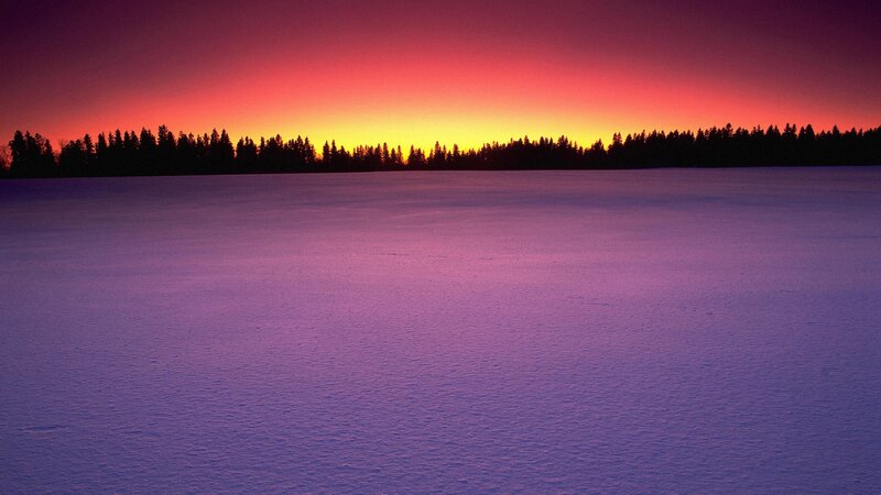 Snowy Field at Sunset — Purple, Dramatic