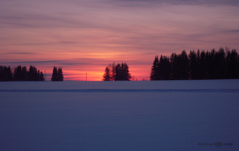 Snowy Field at Sunset — Purple, Serene