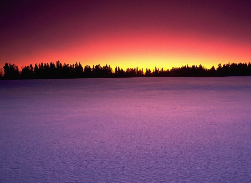 Snowy Field at Sunset — Purple