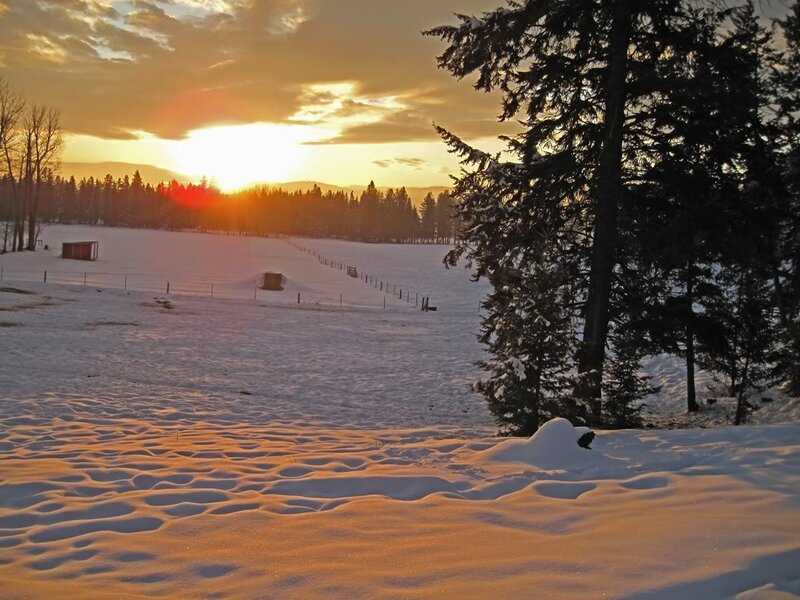 Snowy Field at Sunset — White