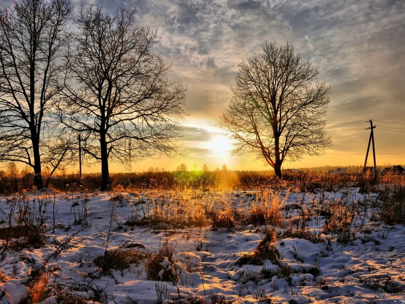Snowy Field at Sunset — Yellow, Serene, Photograph, Trees, Sun, Power Lines, Orange
