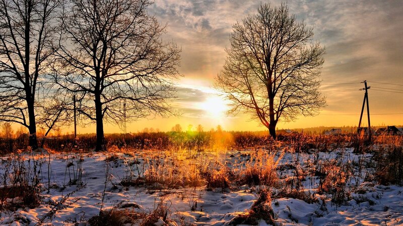 Snowy Field at Sunset — Yellow, Serene, Photograph, Trees, Sun, Power Lines