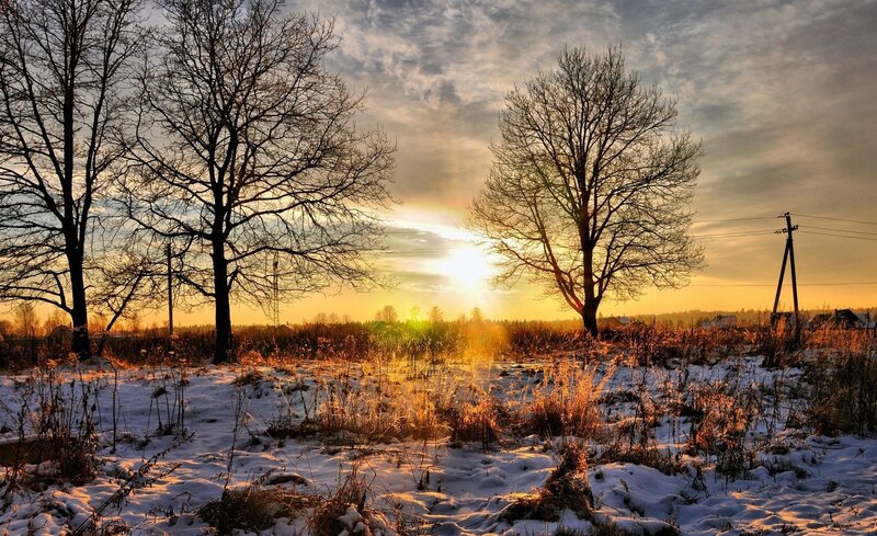 Snowy Field at Sunset — Yellow, Serene
