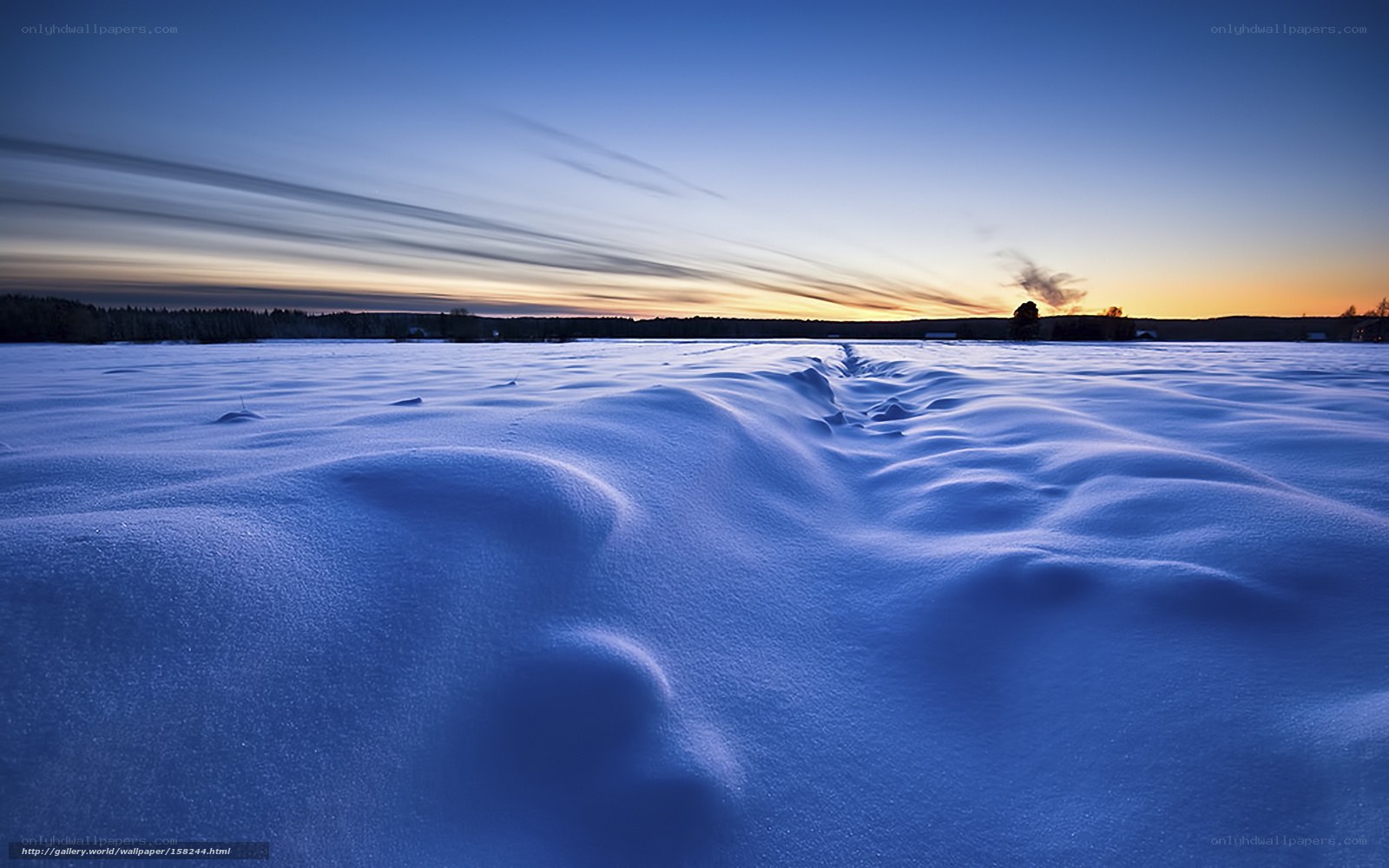 Snowy Field at Sunset