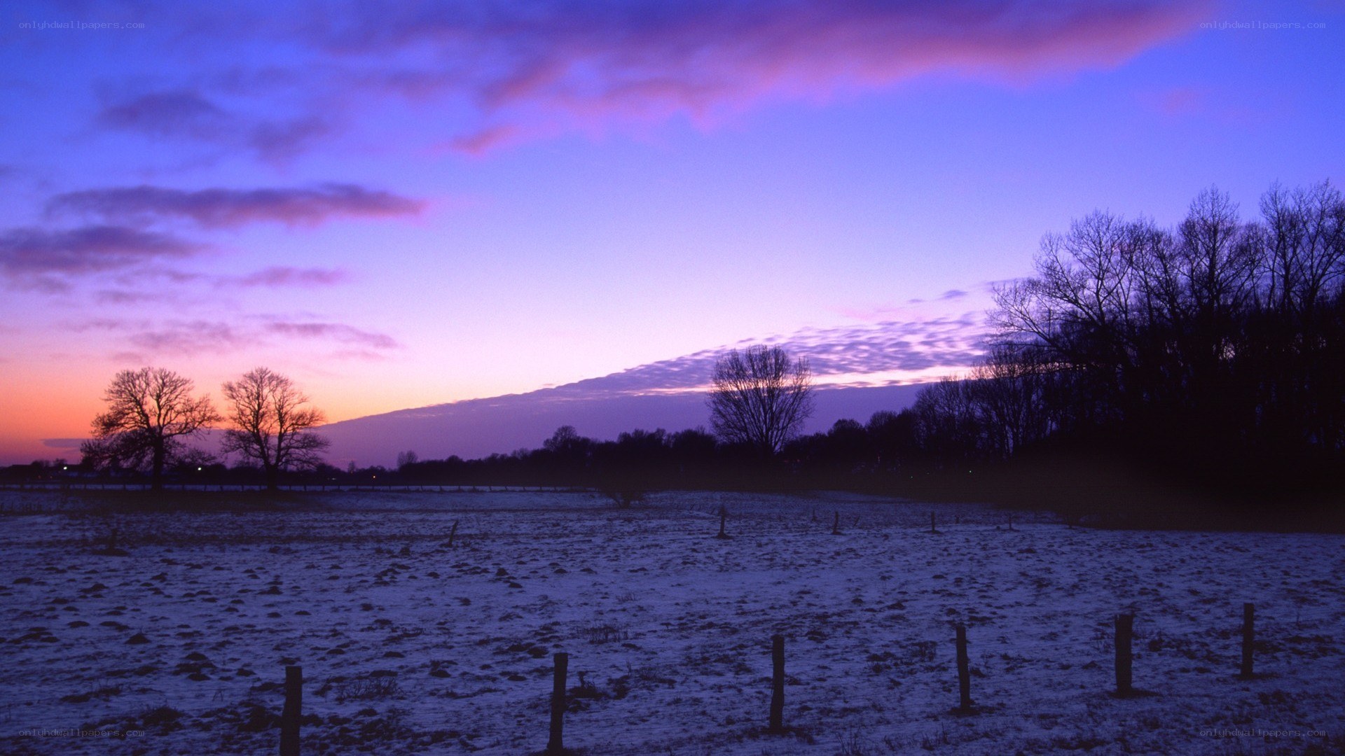 Snowy field at twilight