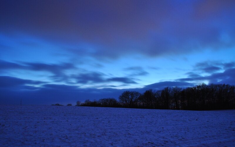 snowy field at twilight