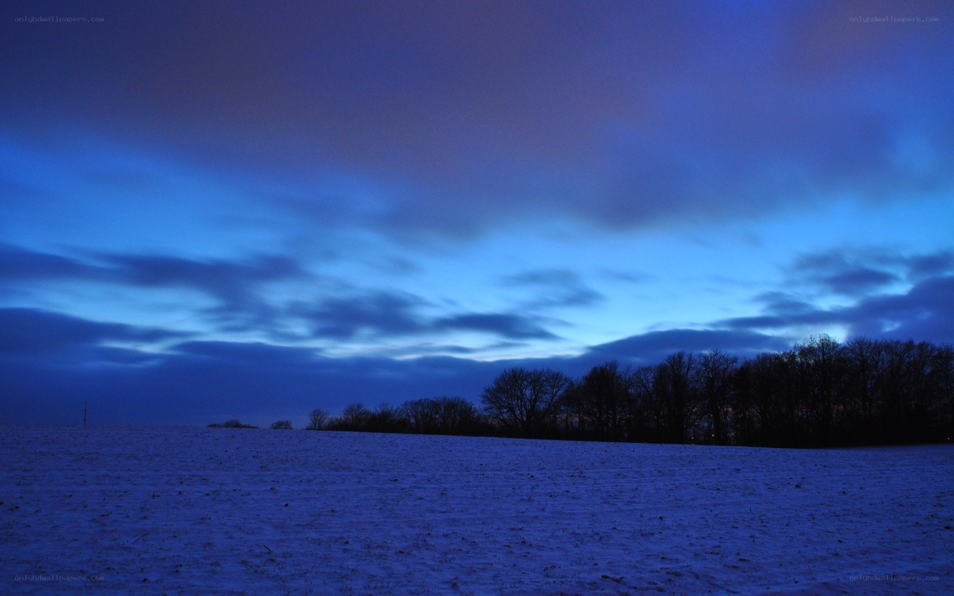 snowy field at twilight