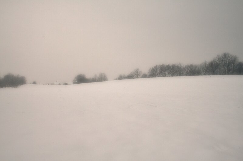 snowy field in fog