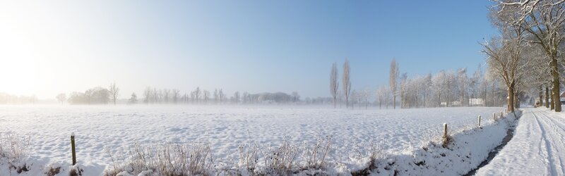 Snowy field on a winter day