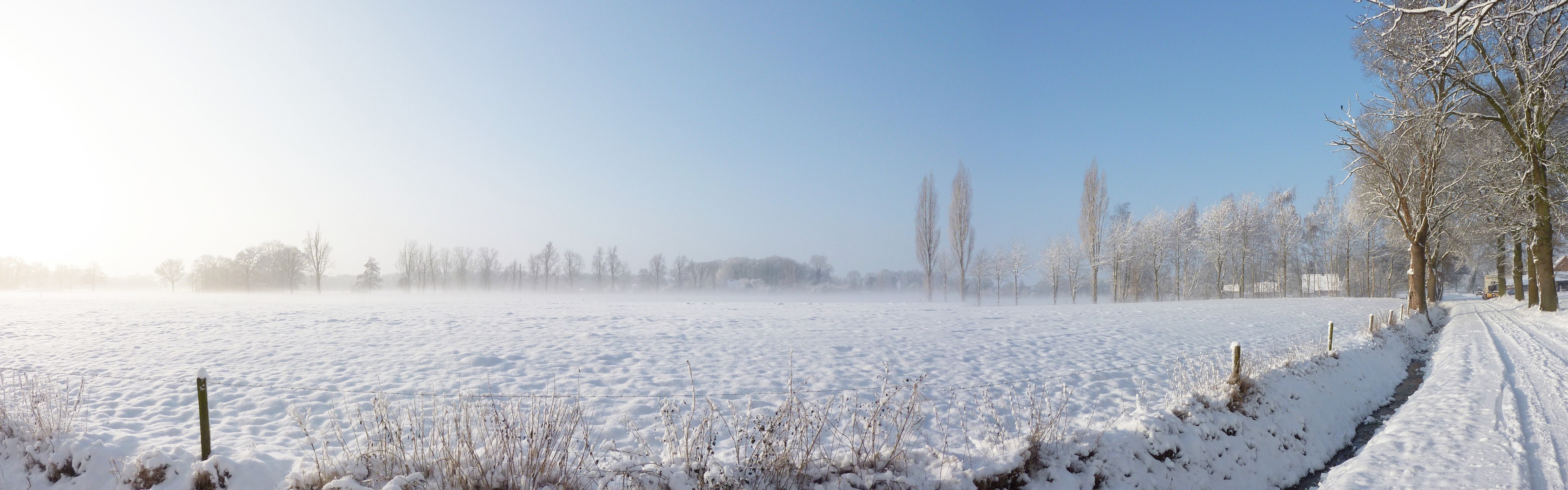 Snowy field on a winter day