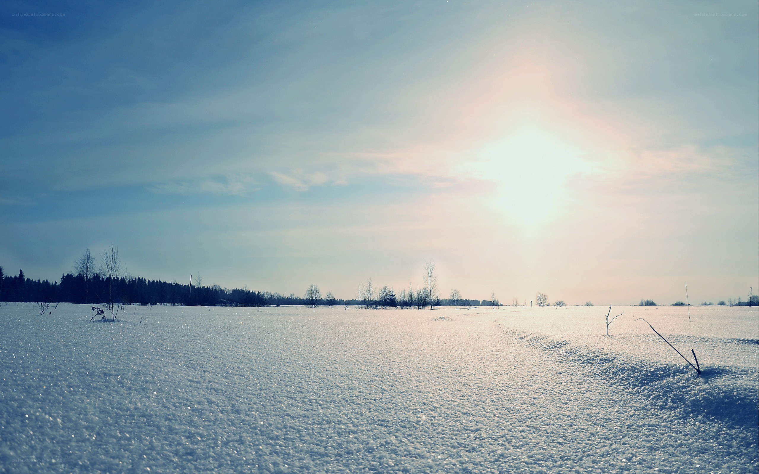 Snowy field under bright sun