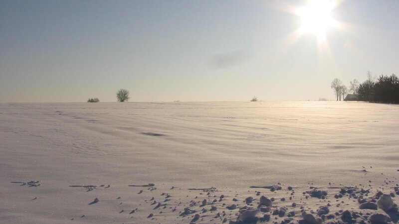 Snowy field under bright sun