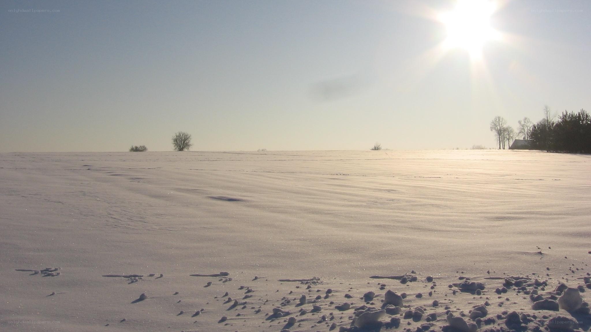 Snowy field under bright sun