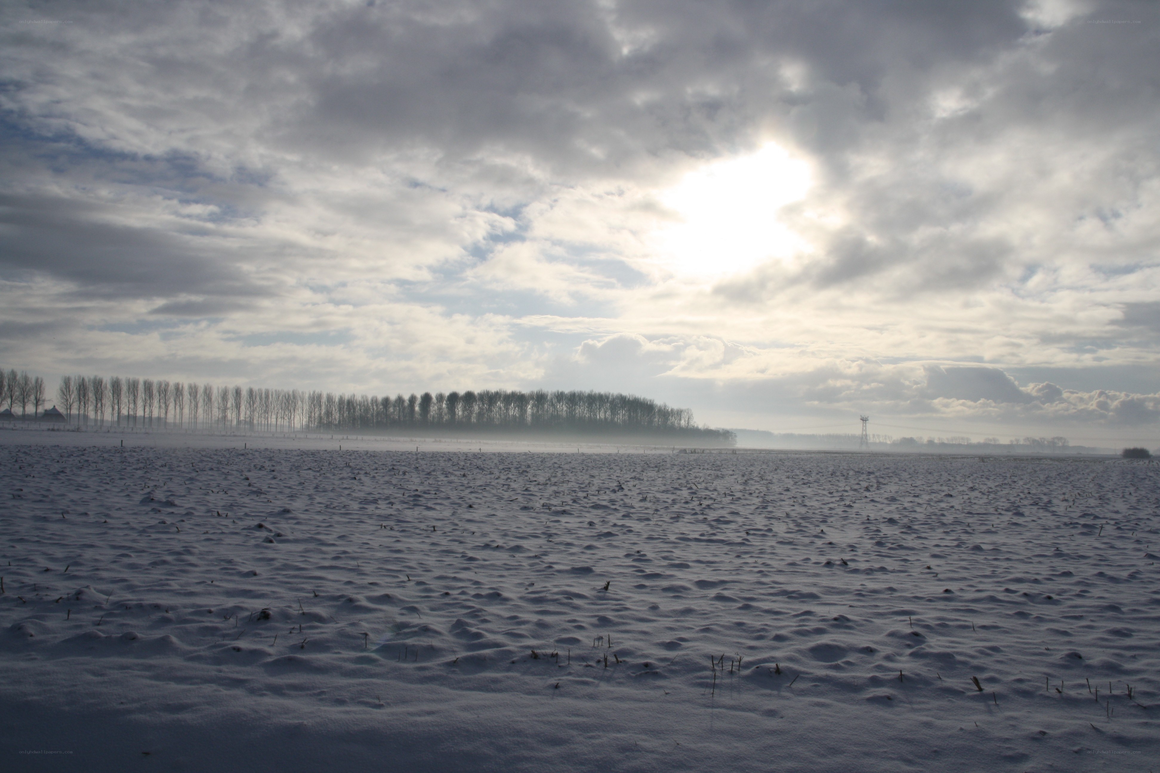 Snowy field under cloudy sky