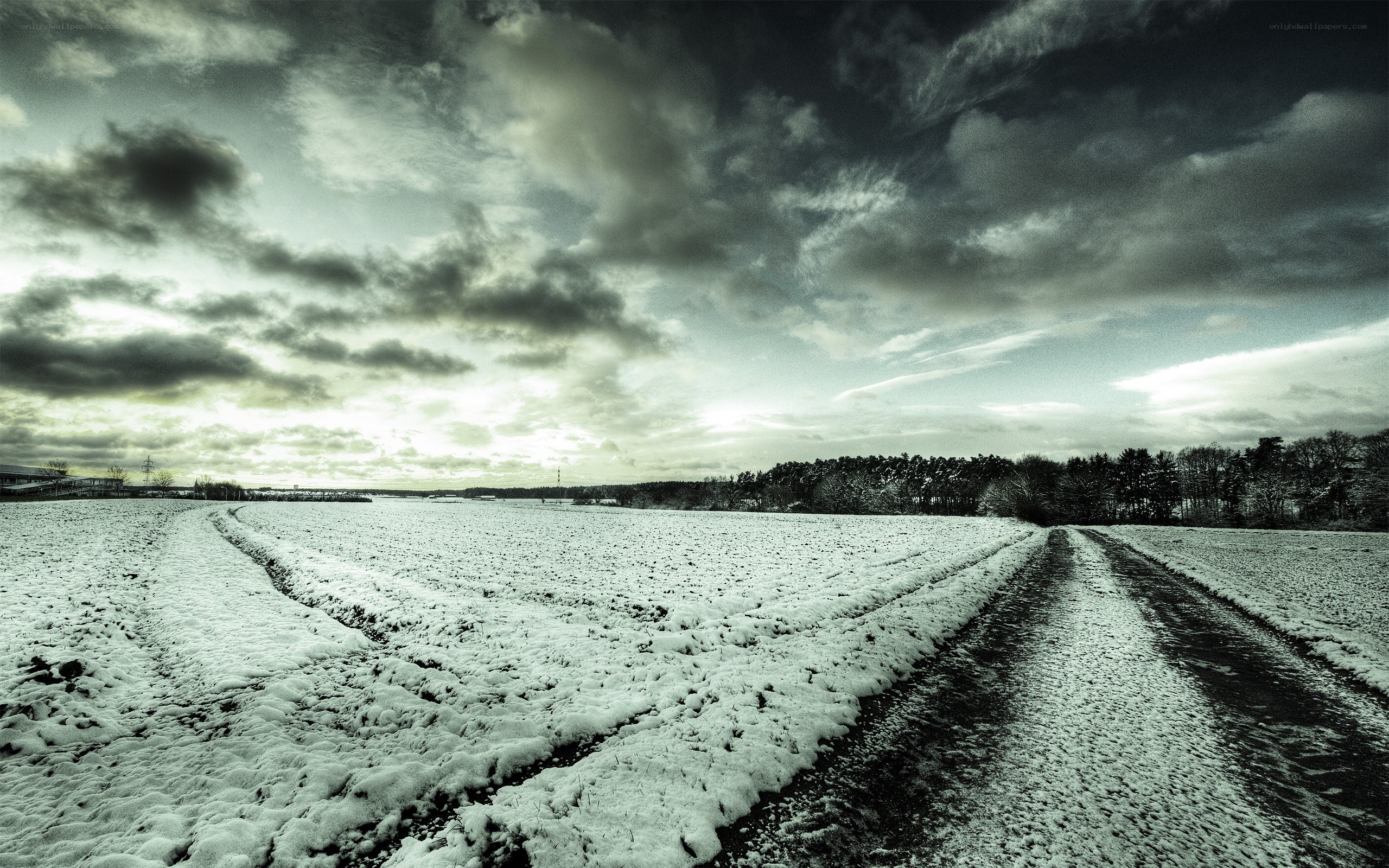 Snowy field under cloudy sky