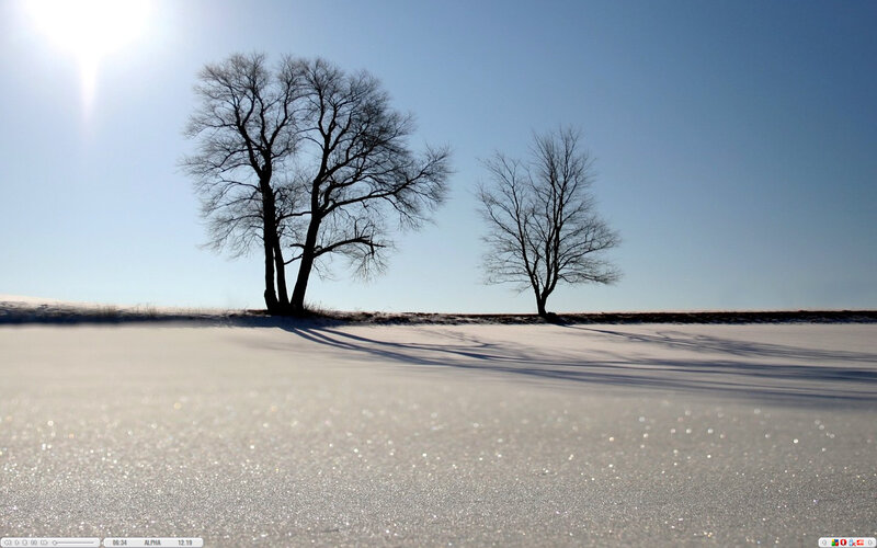 Snowy field with bare trees