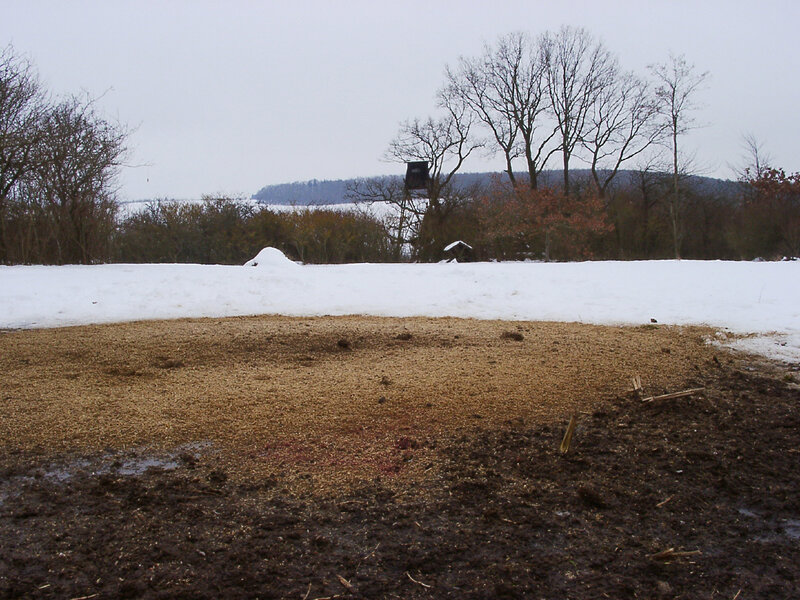 Snowy field with bloodstains