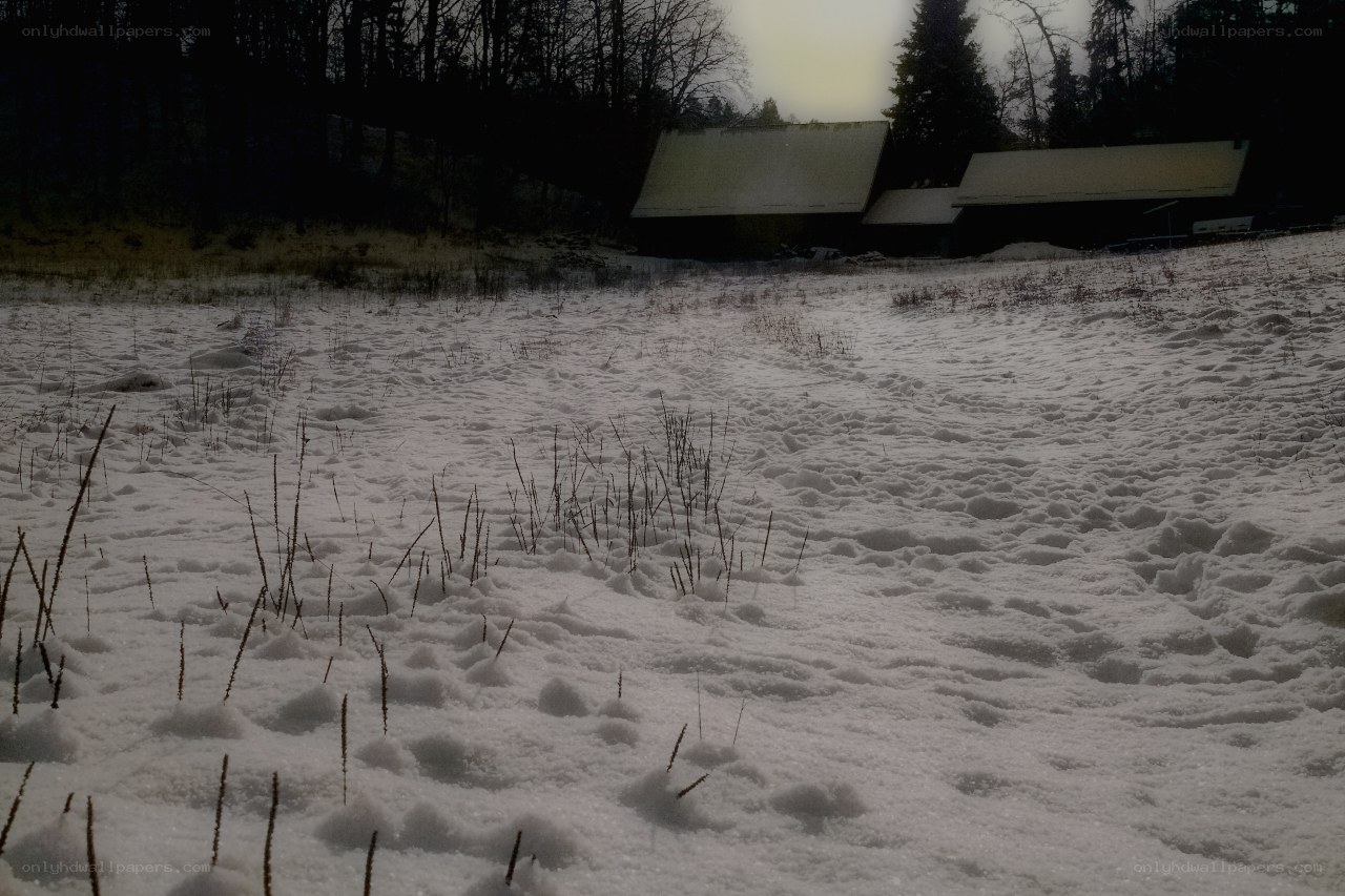 Snowy field with cabins