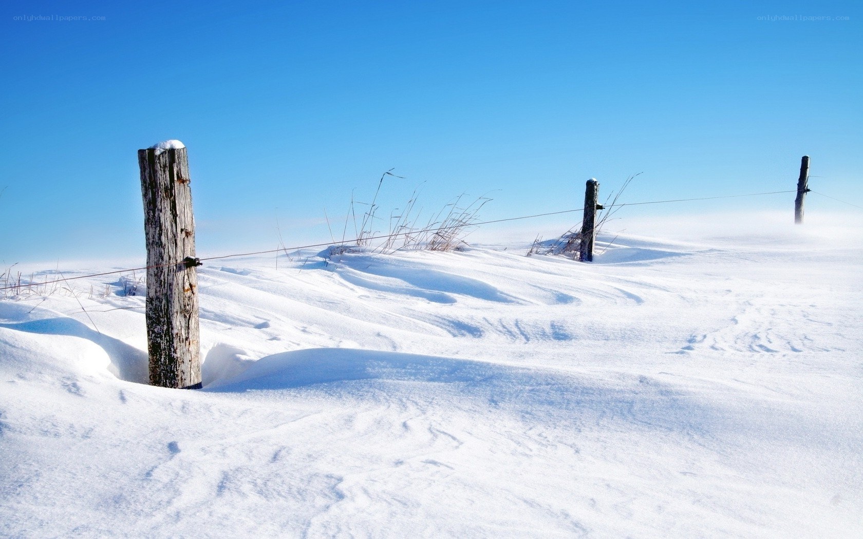 Snowy field with fence posts