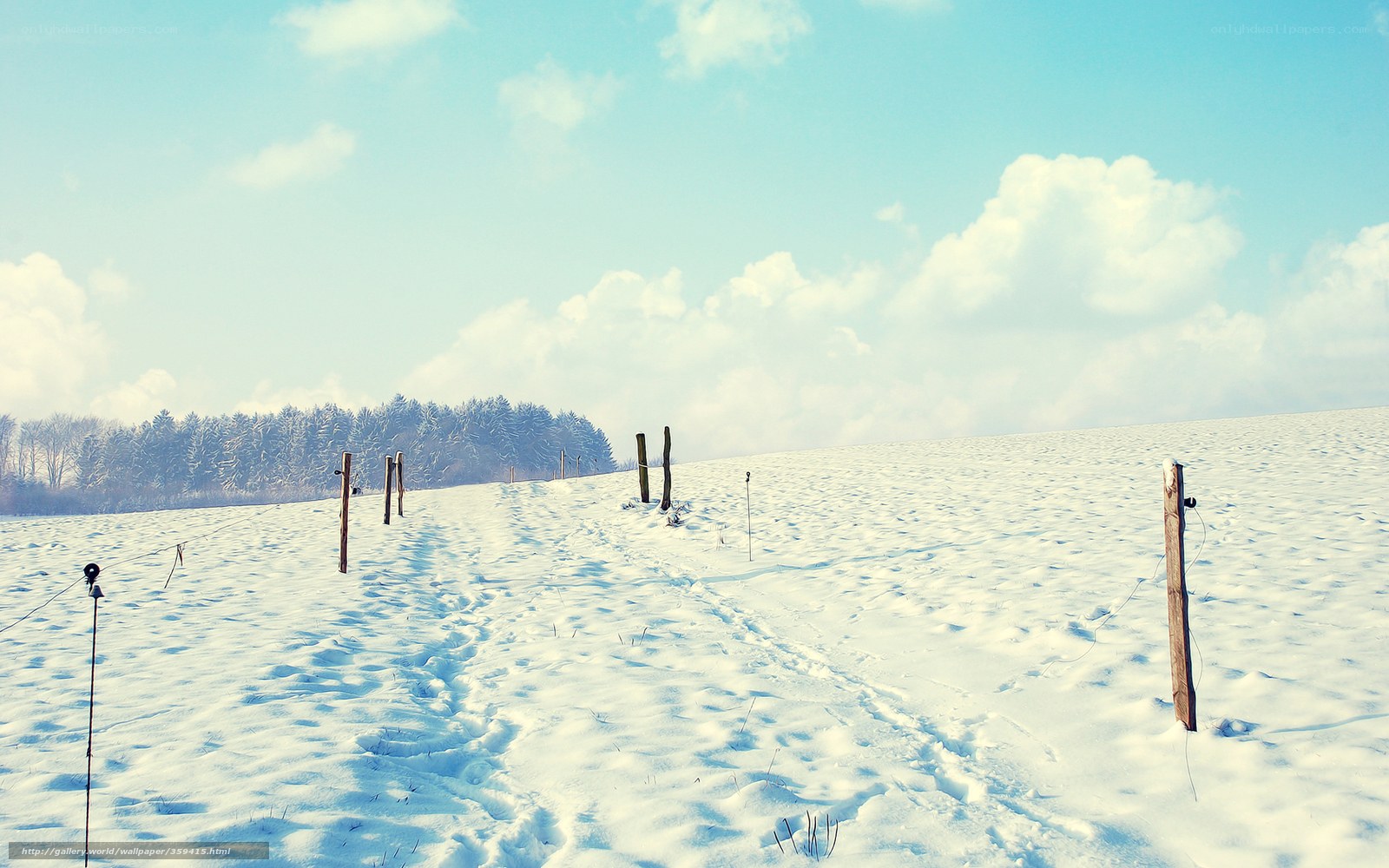 Snowy field with fence