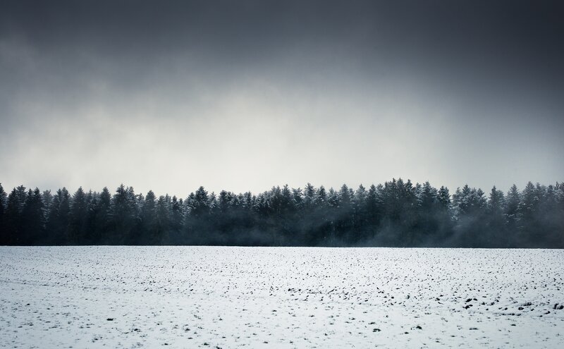 Snowy field with forest