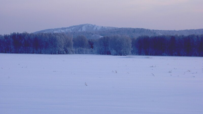 snowy field with forest and hills