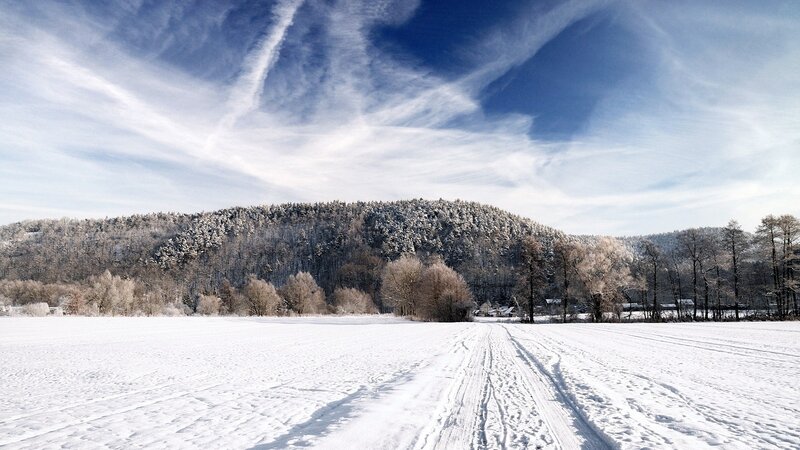 Snowy field with forested hill
