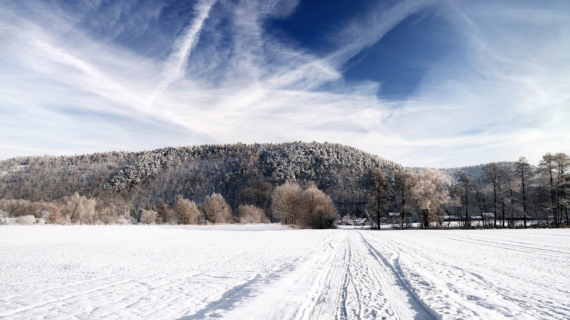 Snowy field with forested hill