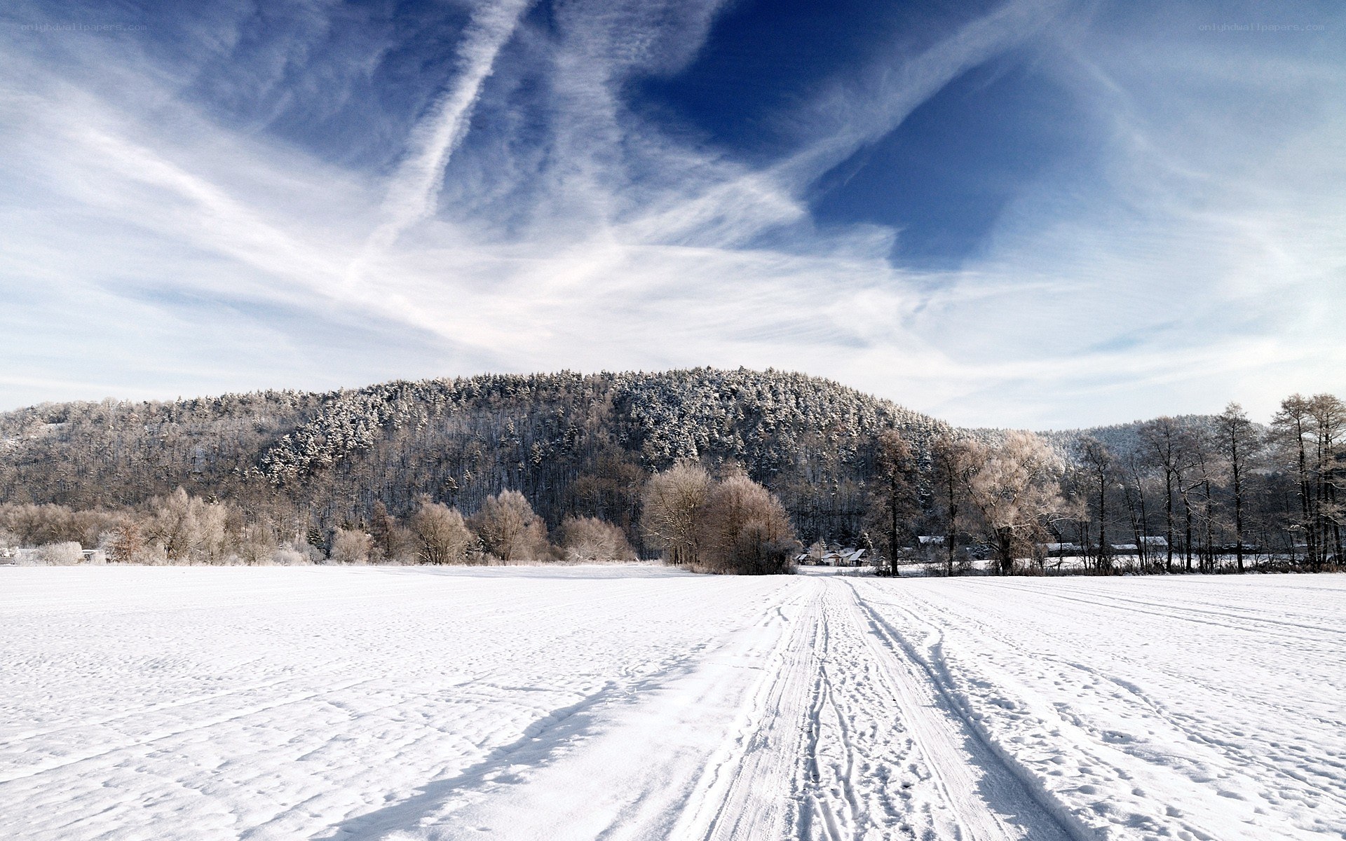Snowy field with forested hill