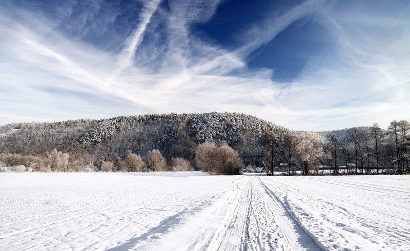 Snowy field with forested hill
